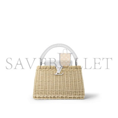 LOUIS VUITTON CAPUCINES BB N85520 (27*17*14cm)